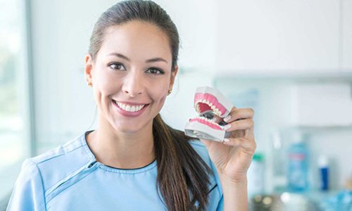 a dental assistant holding a model of dentures