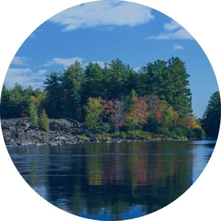 View of fall trees across water